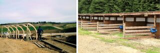 Calf shed 2006- 2016