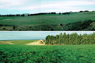 Irrigation - Before and after - 2001