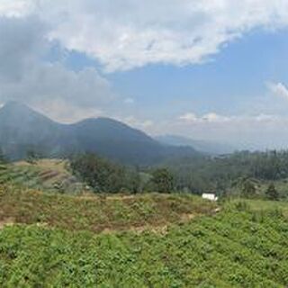Java Preanger