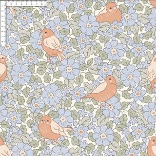 Forget me not robin
