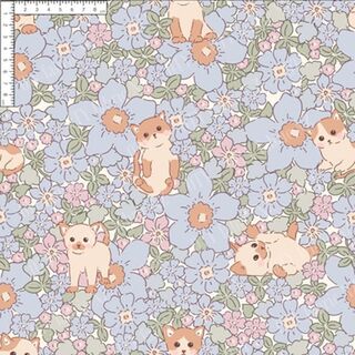 Forget me not kitten