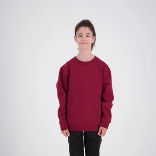 Standard Crew Neck Sweat - Kids