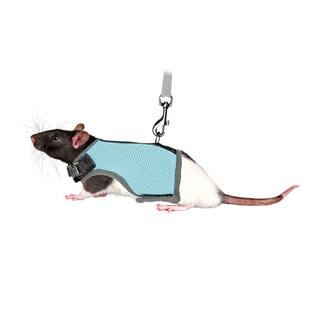 Soft Harness - Rat
