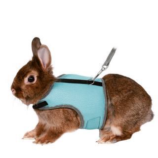 Soft Harness - Rabbit