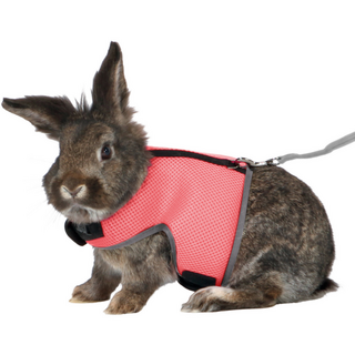 Soft Harness - Rabbit Large