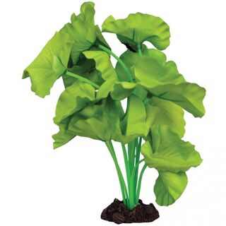 Aqua One Silk Plant - Tiger Lotus Green