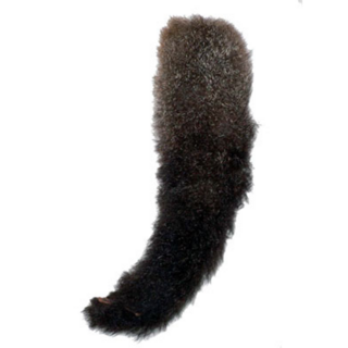 Possum Tails