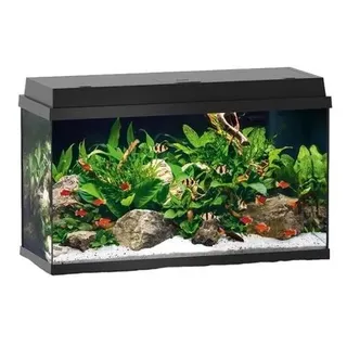 Juwel Primo 60 Black Aquarium