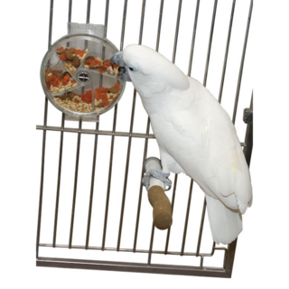 Foraging Wheel