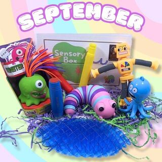 Septembers Monthly Sensory Box