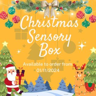 Christmas Sensory Box