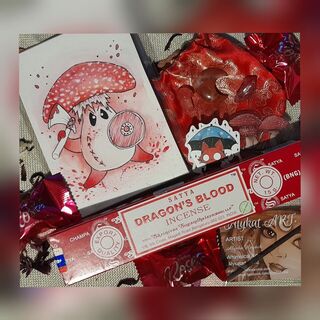 VIKING SHROOM GIFT PACK