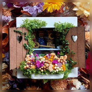 SUMMER APOTHECARY SHADOWBOX
