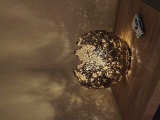 Cradle of Light