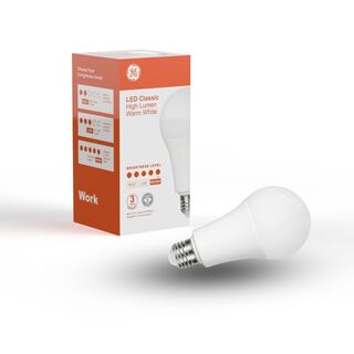 LED Warm White ES 17W Opal