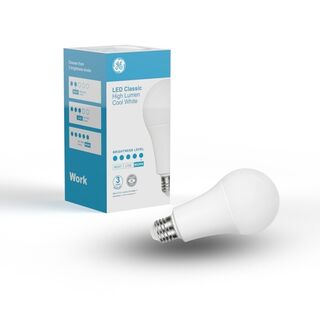 LED Cool White ES 17W Opal