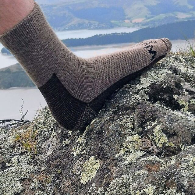 Wyld Casual Socks