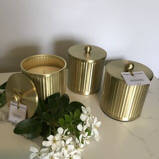 Design Republique Gold Zaya Canister with Lid