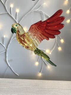 Hanging Parrots