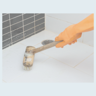 Grout Brushes