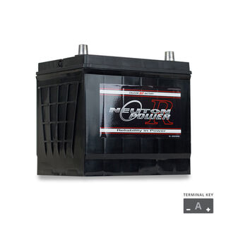 NP REVOLUTION 55D23L Maintenance Free Automotive Battery 600CCA