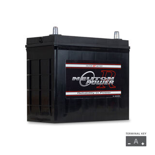 NP REVOLUTION NS60L Maintenance Free Automotive Battery 450CCA