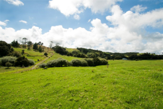 The Battle site at Waititi - Te Ika-a-ranganui where Te kiri and his Tuakana fought