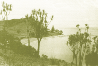 Te Kohuroa early 1900s (Matheson’s Bay)